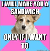 Critical Feminist Corgi