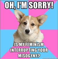 Critical Feminist Corgi