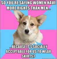 Critical Feminist Corgi