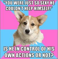 Critical Feminist Corgi