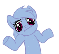 Pony Reactions