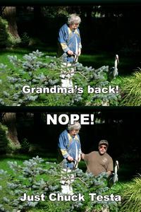 Nope! Chuck Testa