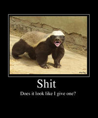 Honey Badger
