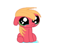 Pony Reactions