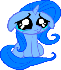 Pony Reactions