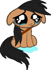Pony Reactions