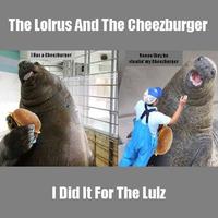I Did It for the Lulz