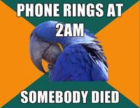 Paranoid Parrot