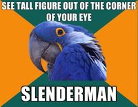 Paranoid Parrot
