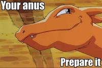 PREPARE YOUR ANUS