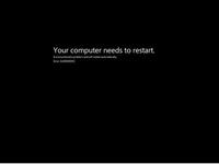 Blue Screen of Death (BSoD)