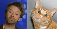 Totally Looks Like / Separated At Birth