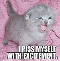LOLcats