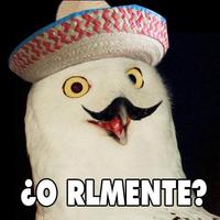 O RLY?