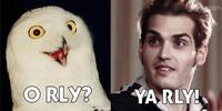 O RLY?