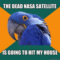 Paranoid Parrot