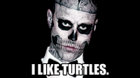 I Like Turtles