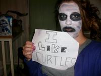 I Like Turtles