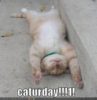 Caturday