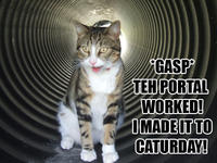 Caturday