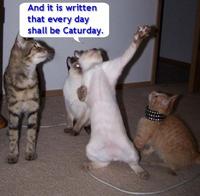 Caturday