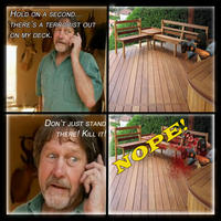 Nope! Chuck Testa