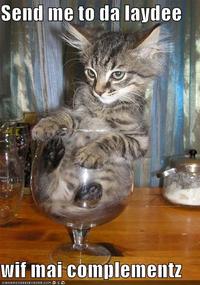 LOLcats