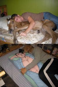Dakimakura