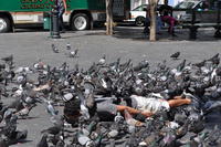 Planking