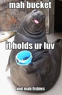 Lolrus