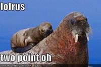 Lolrus