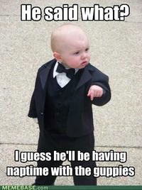 Baby Godfather