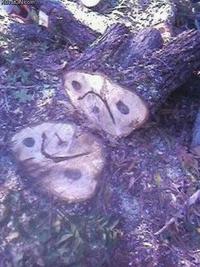 Things With Faces