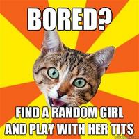Bad Advice Cat
