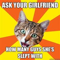 Bad Advice Cat
