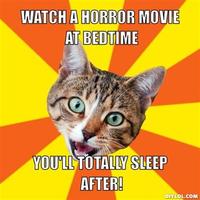 Bad Advice Cat
