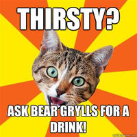 Bad Advice Cat