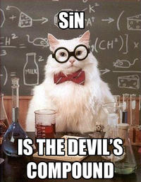 Chemistry Cat