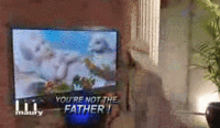 You Are NOT The Father!