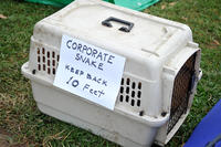 Occupy Wall Street