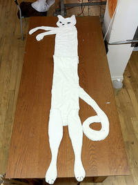 Longcat