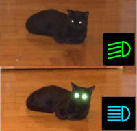 LOLcats