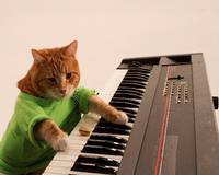 Keyboard Cat
