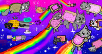 Nyan Cat / Pop Tart Cat