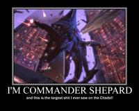 I'm Commander Shepard