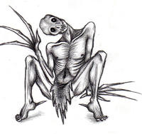 The Rake