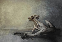 The Rake