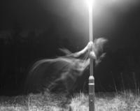 The Rake