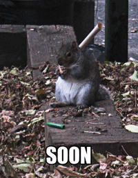 SOON