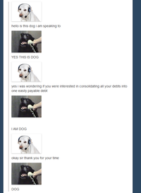Yes, This is Dog